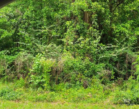 Unimproved Land in Summerdale AL 0 County Road 9.jpg