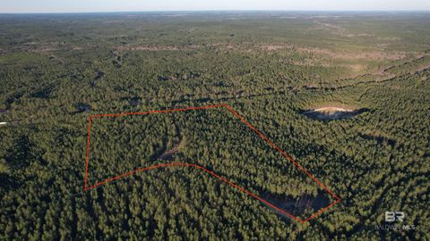 Unimproved Land in Robertsdale AL 0 Bull Springs Trail.jpg
