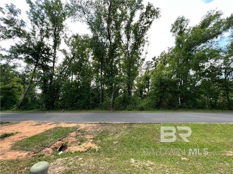 Unimproved Land in Foley AL 317 W Rosetta Avenue.jpg