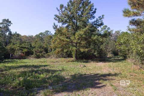 Unimproved Land in Foley AL 0 Nolte Creek Drive.jpg