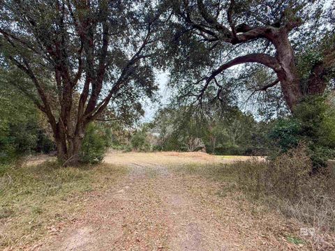 Unimproved Land in Magnolia Springs AL 12566 County Road 49.jpg