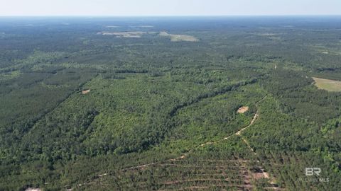 Unimproved Land in Deer Park AL 0 Lockwood Drive.jpg