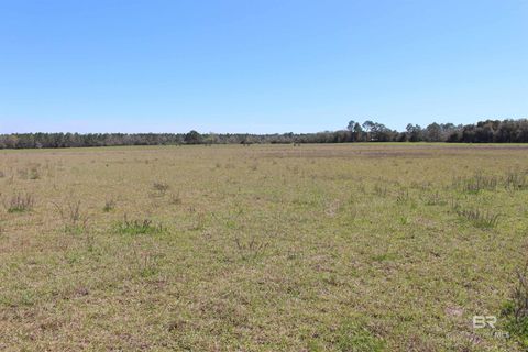 Unimproved Land in Summerdale AL 000 County Road 38.jpg