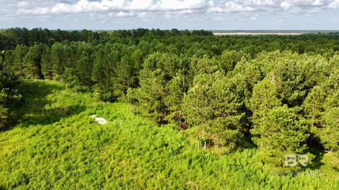 Unimproved Land in Foley AL 0 James Road.jpg