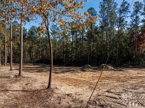 Unimproved Land in Bay Minette AL 0 Flat Creek Drive.jpg
