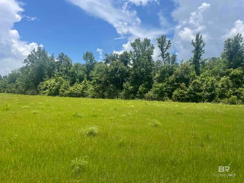 Unimproved Land in Bay Minette AL 15660 Louis Cooper Road.jpg