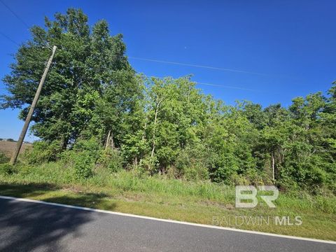 Unimproved Land in Foley AL 13144 Lipscomb Road.jpg