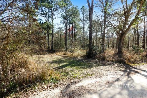 Unimproved Land in Coden AL 16045 Williams Road.jpg