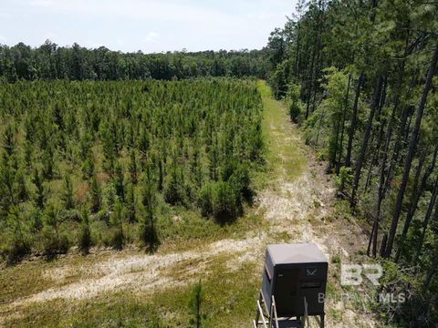 Unimproved Land in Robertsdale AL 0 County Road 87.jpg