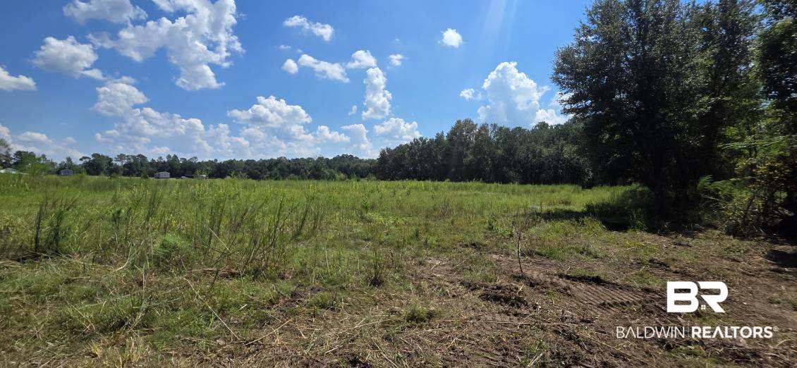21373 Ima Brill Loop, Robertsdale, AL 36567 photo
