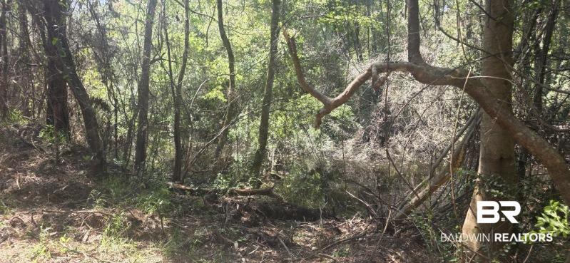 21373 Ima Brill Loop, Robertsdale, AL 36567 photo