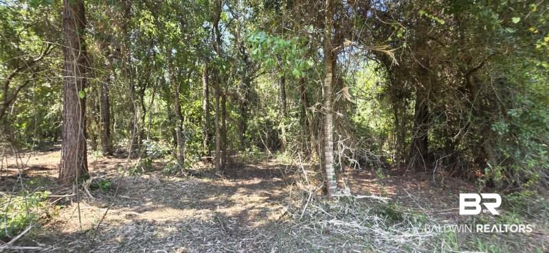 21373 Ima Brill Loop, Robertsdale, AL 36567 photo