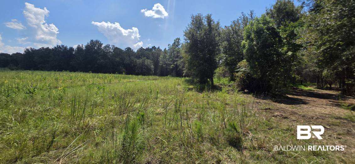 21373 Ima Brill Loop, Robertsdale, AL 36567 photo