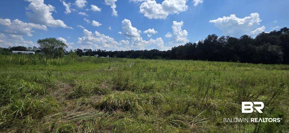 21373 Ima Brill Loop, Robertsdale, AL 36567 photo