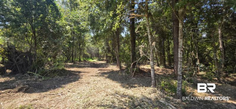 21373 Ima Brill Loop, Robertsdale, AL 36567 photo