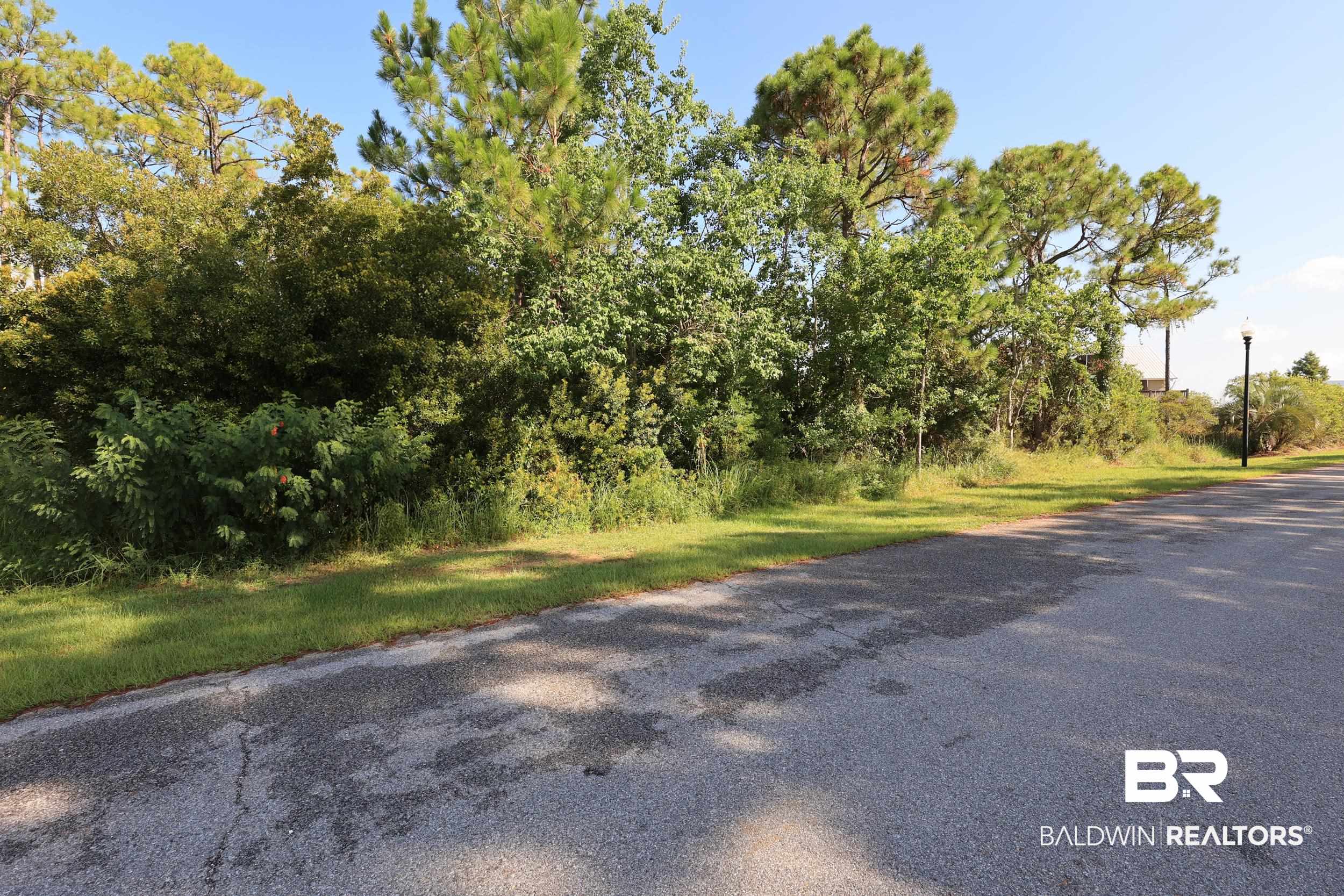 0 Bayou Dr, Orange Beach, AL 36561
