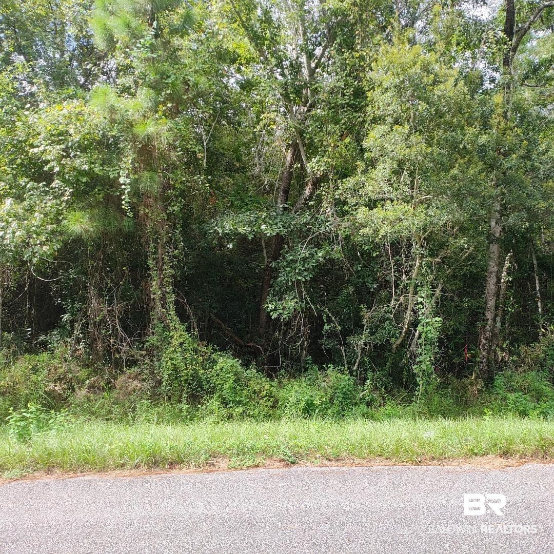 0 Boykin Blvd, Lillian, AL 36549 photo