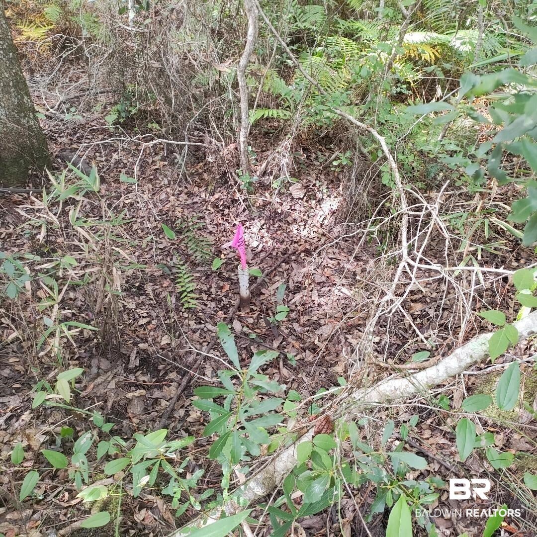 0 Boykin Blvd, Lillian, AL 36549 photo