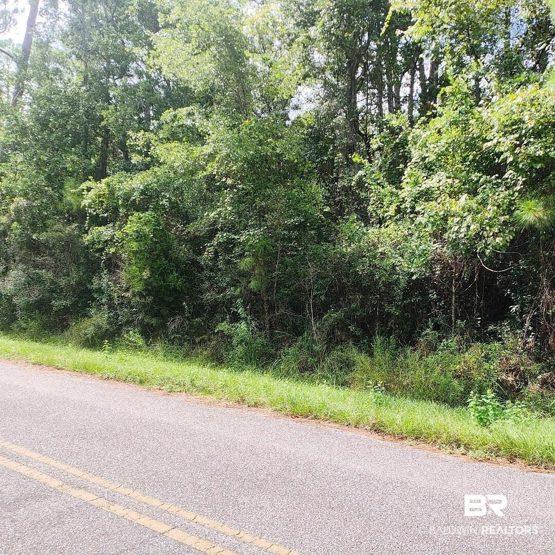 0 Boykin Blvd, Lillian, AL 36549 photo