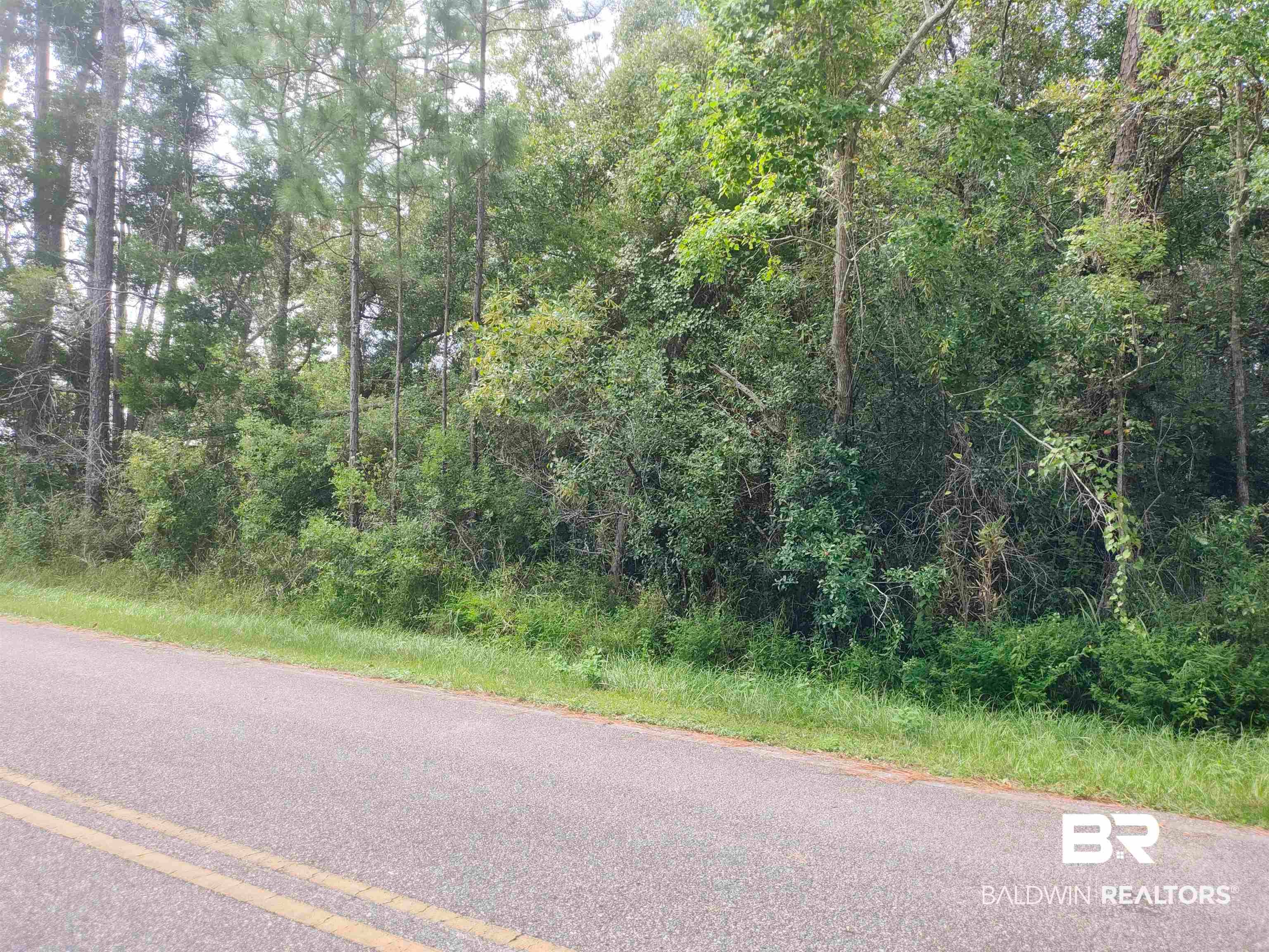 0 Boykin Blvd, Lillian, AL 36549 photo