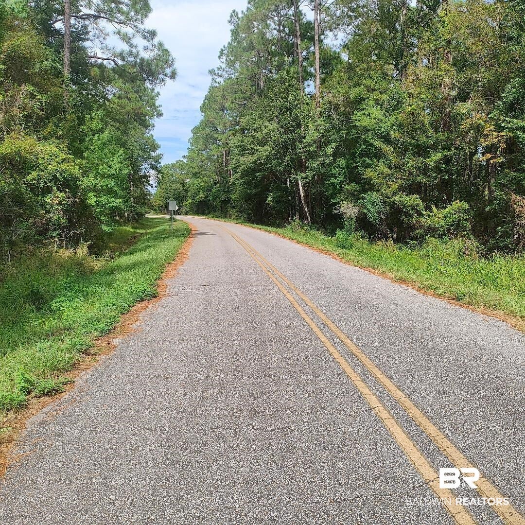 0 Boykin Blvd, Lillian, AL 36549 photo