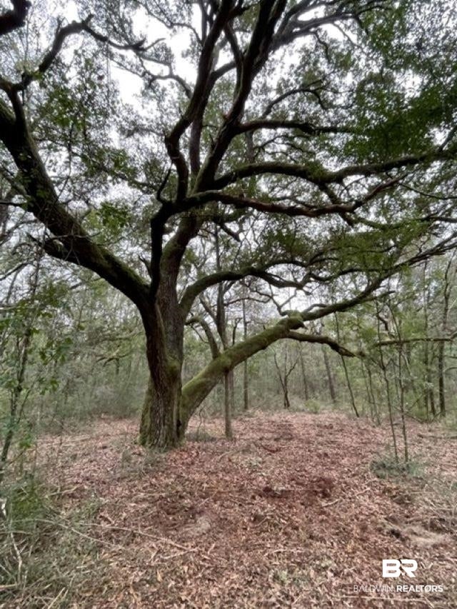9847 County Road 99, Lillian, AL 36549