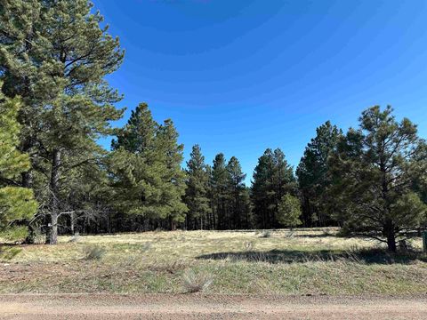  in Angel Fire NM Valley Road.jpg