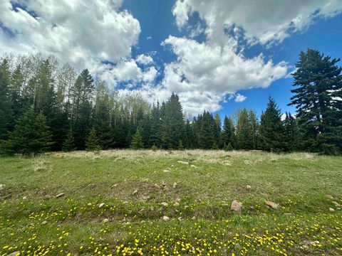 Unimproved Land in Angel Fire NM Lot 15 Pleasant Meadow Drive.jpg