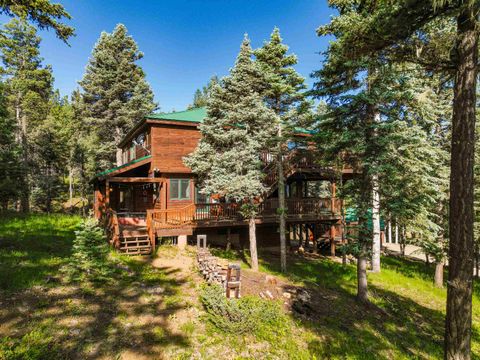 Single Family Residence in Angel Fire NM 60 Taos Dr.jpg