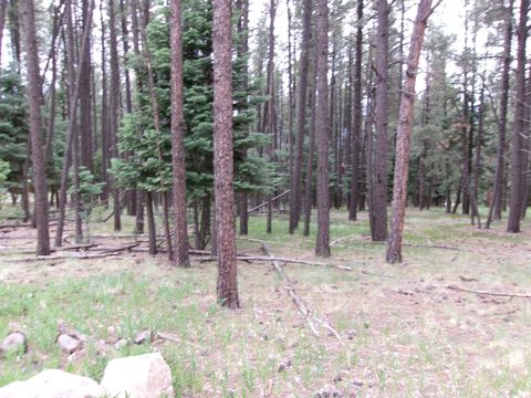  in Angel Fire NM Lot 1077 Valle Grande Tr North.jpg