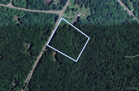  in Fleischmanns NY Lot 29 Tarigo Road.jpg