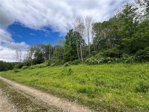 Single Family Residence in Ellicottville NY TBB Lot #5 42 Degrees North.jpg