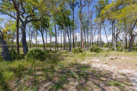 Unimproved Land in Daufuskie Island SC 47 Beauregard Blvd.jpg