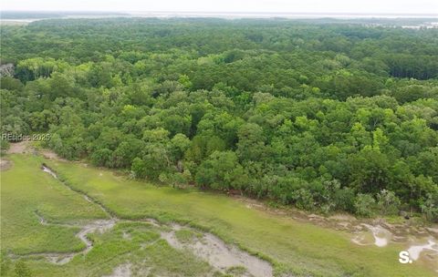 Unimproved Land in Okatie SC 16 Rice Trunk Road.jpg