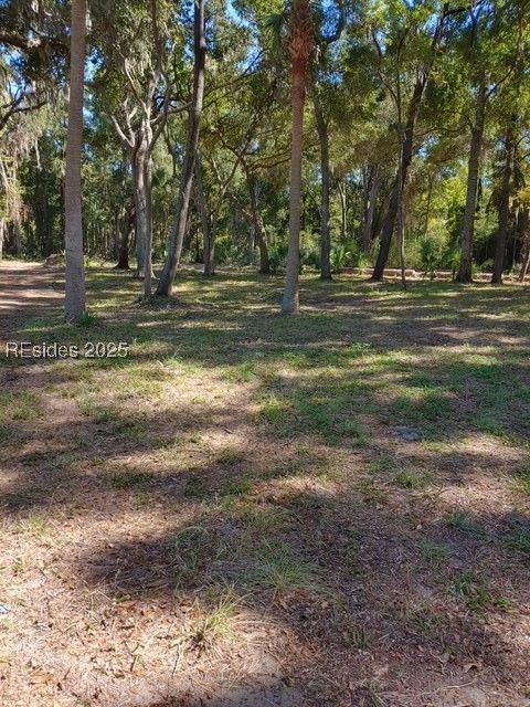 Unimproved Land in Daufuskie Island SC 59 Volunteers RDG.jpg
