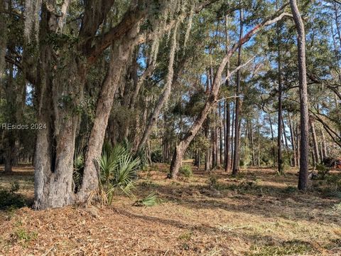 Unimproved Land in Daufuskie Island SC 41 River Road.jpg