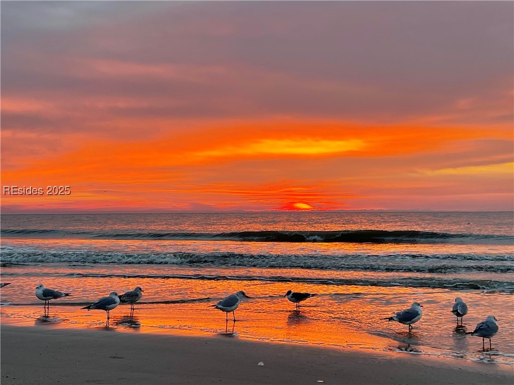 Condominium in Hilton Head Island SC 45 Folly Field Road #16F 32.jpg