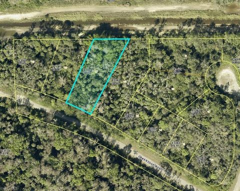  in LEHIGH ACRES FL 558 Lakeridge BLVD.jpg
