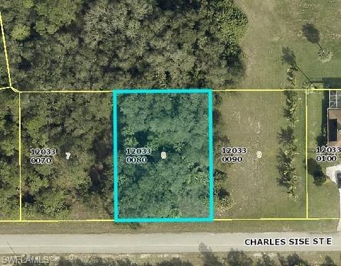  in LEHIGH ACRES FL 613 Charles Sise ST.jpg
