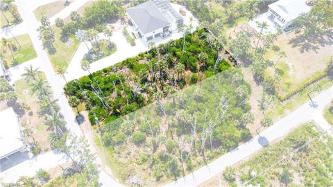  in FORT MYERS FL 13451 Almond DR.jpg