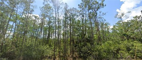  in LEHIGH ACRES FL 1903 Weller AVE.jpg