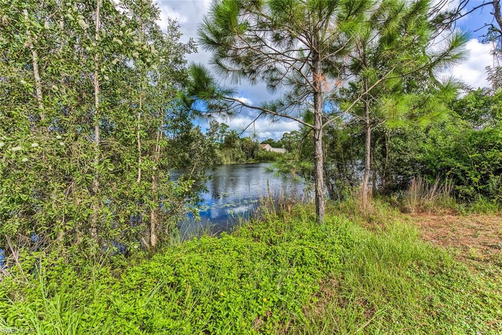 29 Caribbean Rd, Naples, FL 34108 photo