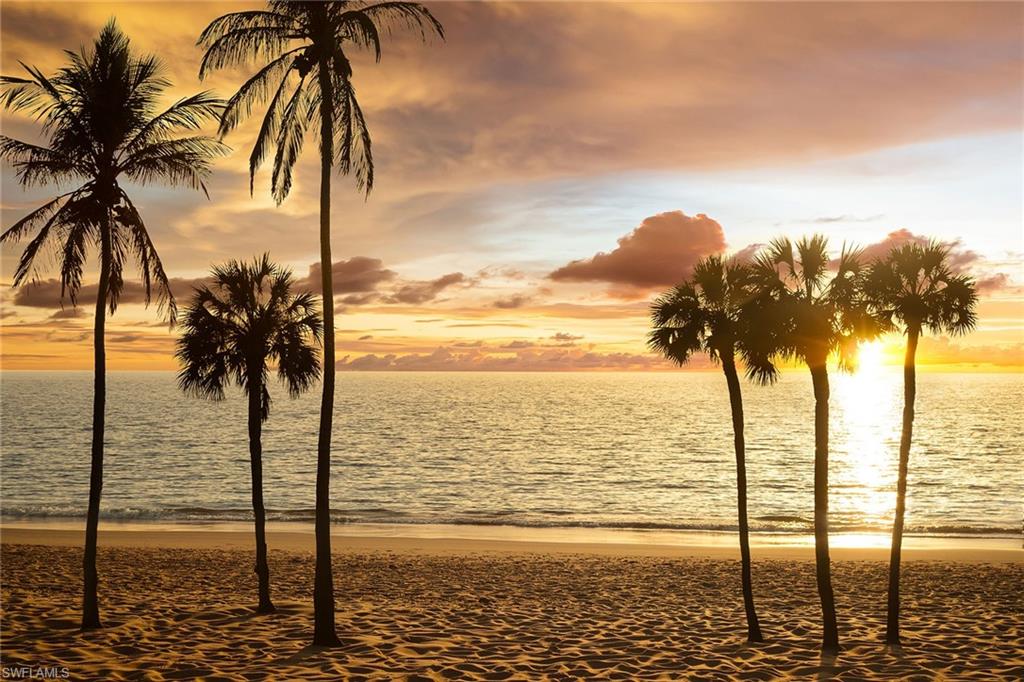 4005 Gulf Shore Blvd #100, Naples, FL 34103 photo