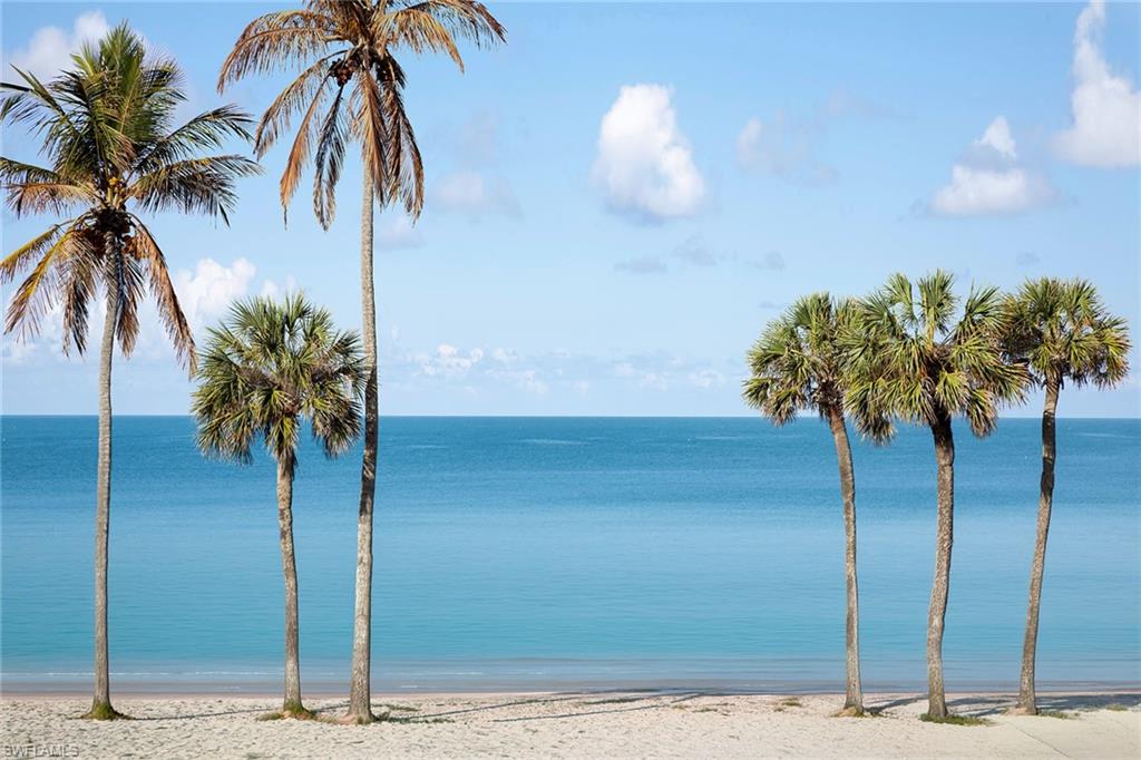 4005 Gulf Shore Blvd #100, Naples, FL 34103 photo