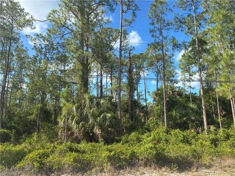  in NAPLES FL 1390 22nd Ave NE.jpg