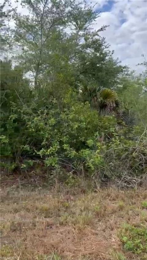  in LEHIGH ACRES FL 308 Jourferie RD.jpg