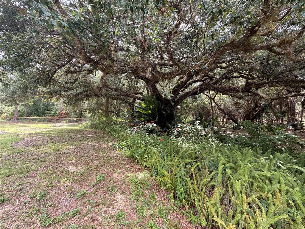 18251 Persimmon Ridge Rd, Alva, FL 33920
