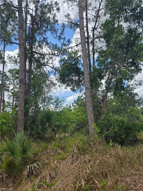  in NAPLES FL 2556 Randall BLVD.jpg