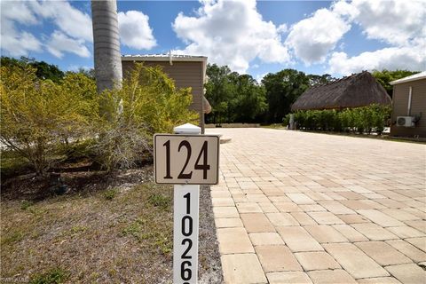in FORT MYERS FL 10263 Meadow Beauty TRL.jpg