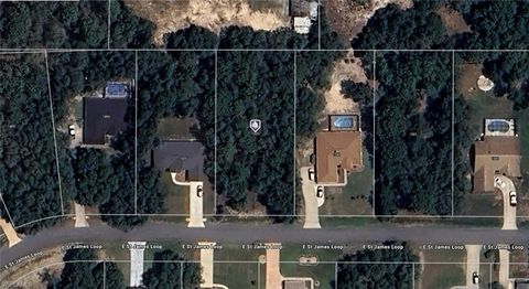  in INVERNESS FL 1525 E Saint James LOOP.jpg